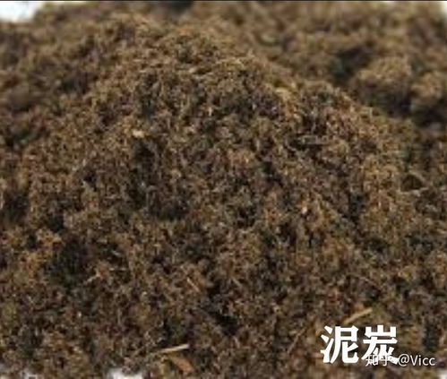 常見種植基質(zhì)深度比較 泥炭、椰磚、營(yíng)養(yǎng)土、顆粒土、黑土，聚焦?fàn)I養(yǎng)土之選