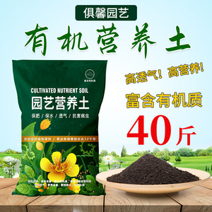 杏花山多肉營(yíng)養(yǎng)土 為你的多肉植物打造理想家園
